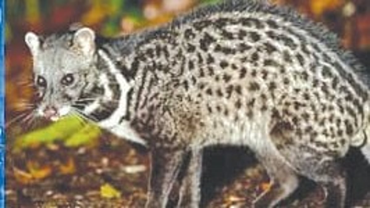 Goa’s Bondla Zoo Temporarily Closed After Suspected Viral Outbreak, 5 Animals Dead