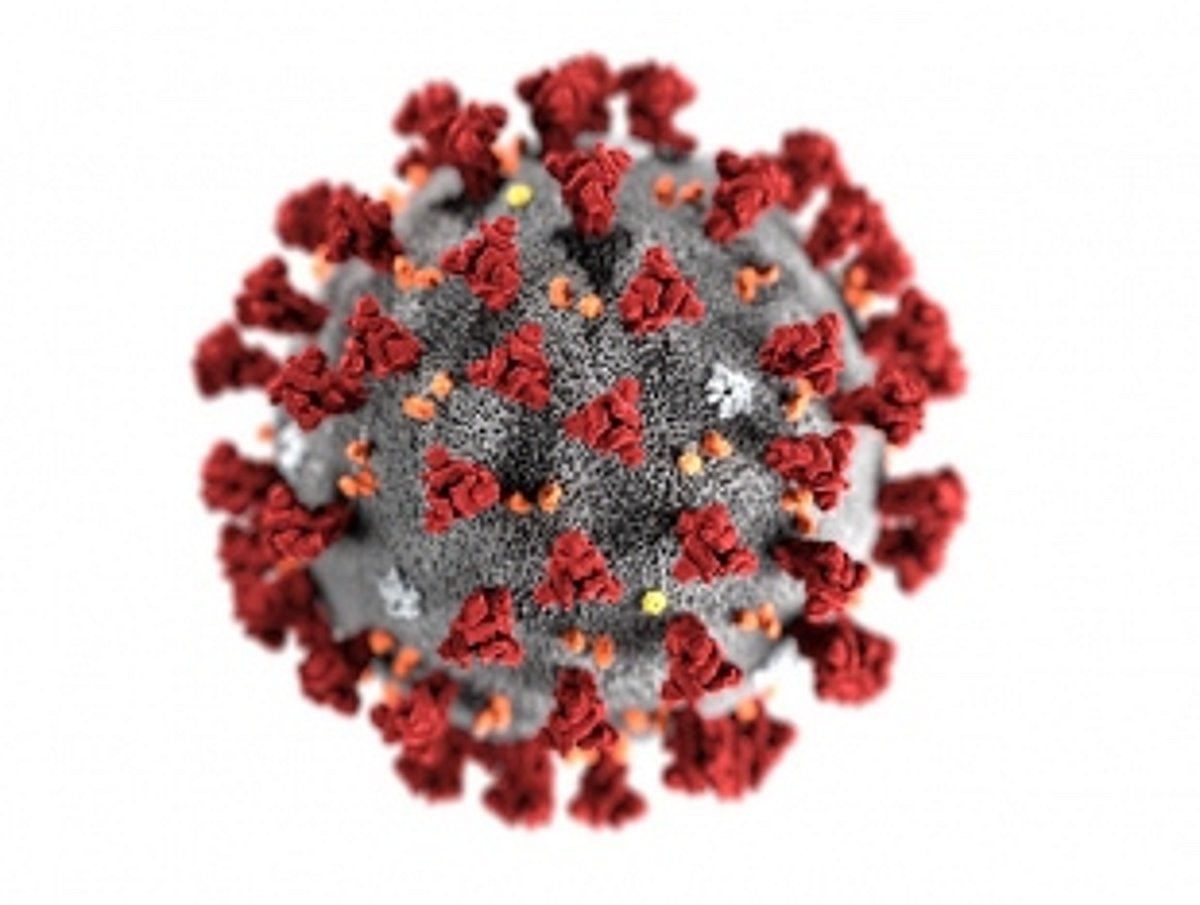 Goa’s COVID-19 cases cross 500