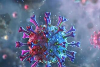 Goa’s COVID-19 count crosses 13k