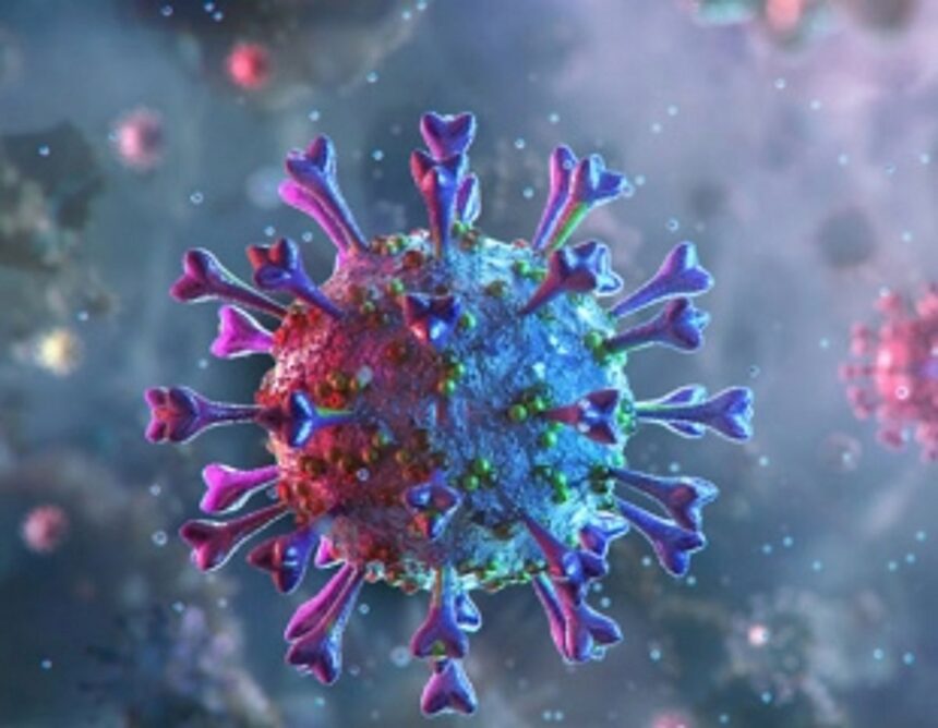 Goa’s COVID-19 count crosses 13k