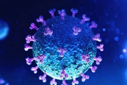 Goa’s COVID graph continues to surge; 300 new cases