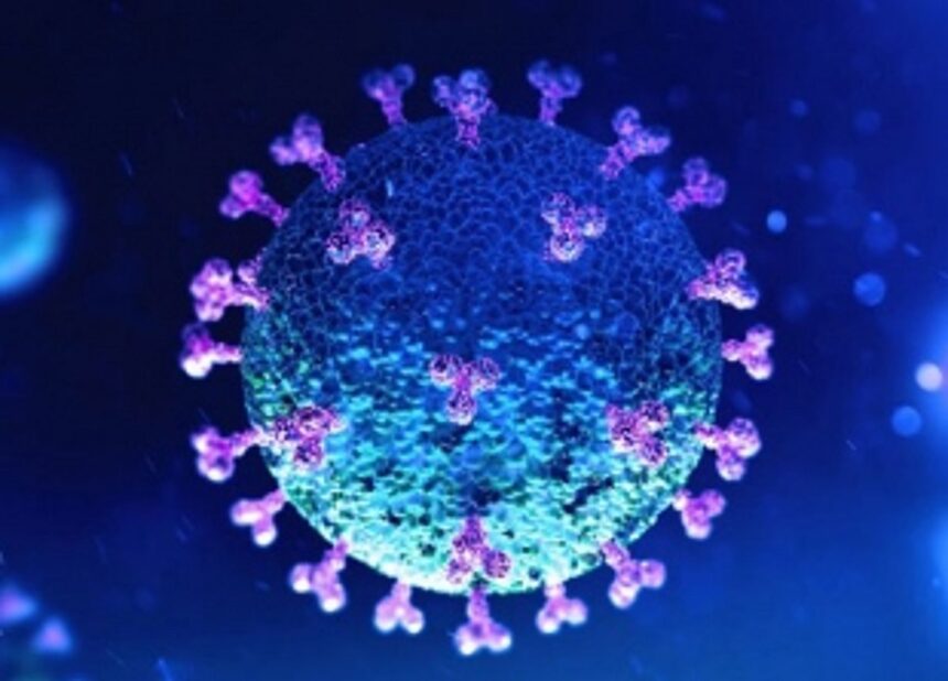 Goa’s COVID graph continues to surge; 300 new cases