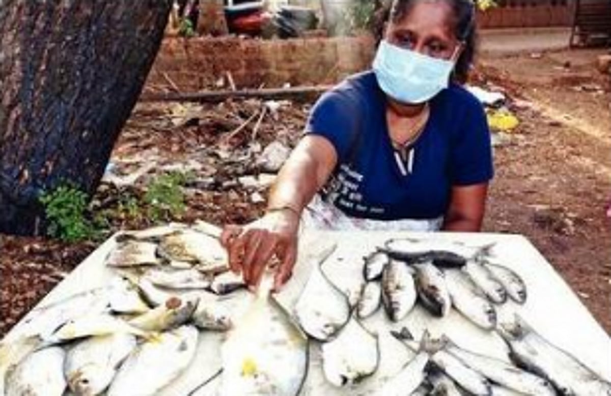 Goa’s MSP for fish