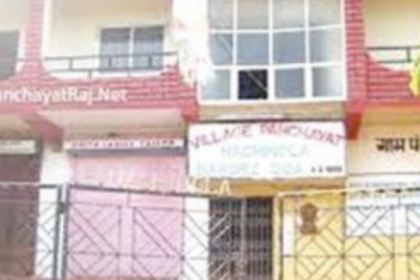 Goa’s Panchayats @ 60: Where is the local self-governance?