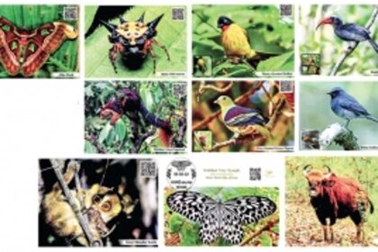 Goa’s beautiful wonders celebrated on World Nature Conservation Day