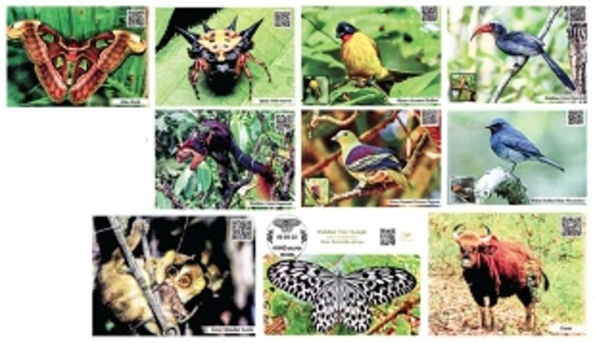 Goa’s beautiful wonders celebrated on World Nature Conservation Day