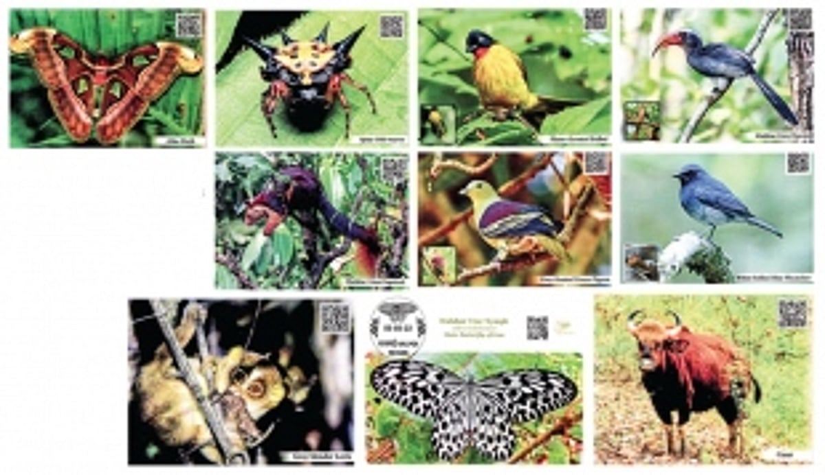 Goa’s beautiful wonders celebrated on World Nature Conservation Day