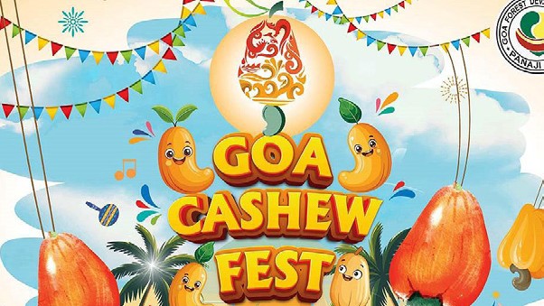 Goa’s cashew set for GI tag
by year-end, says MLA