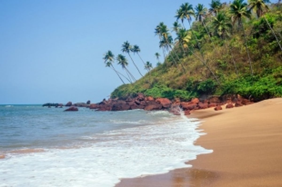 Goa’s coast under attack, activists to the rescue