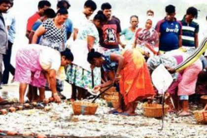 Goa’s demand-supply manipulation