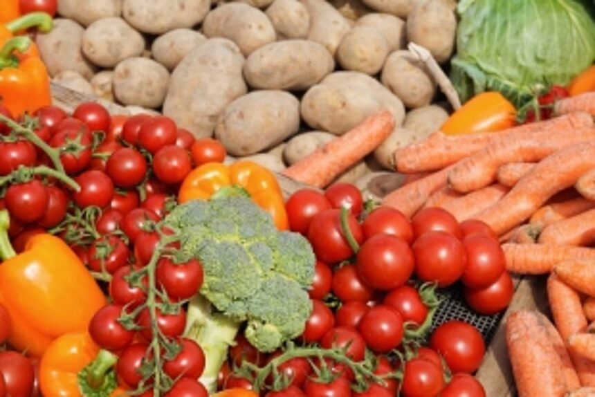 Goa’s dependence on vegetables from outside exposed 1 Goa’s dependence on vegetables from outside exposed