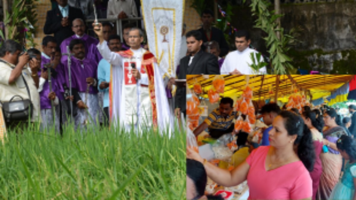 Goa's harvest jubilee: A celebration of bounty and tradition