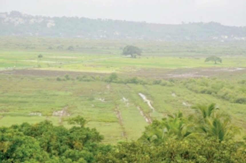 Goa’s khazan lands and land filling – Beginning of the end?