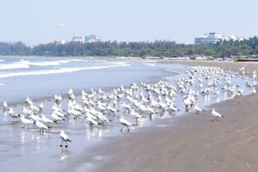 Goa’s local self-governance has been damned and there’s no accountability 1 Goa’s local self-governance has been damned and there’s no accountability