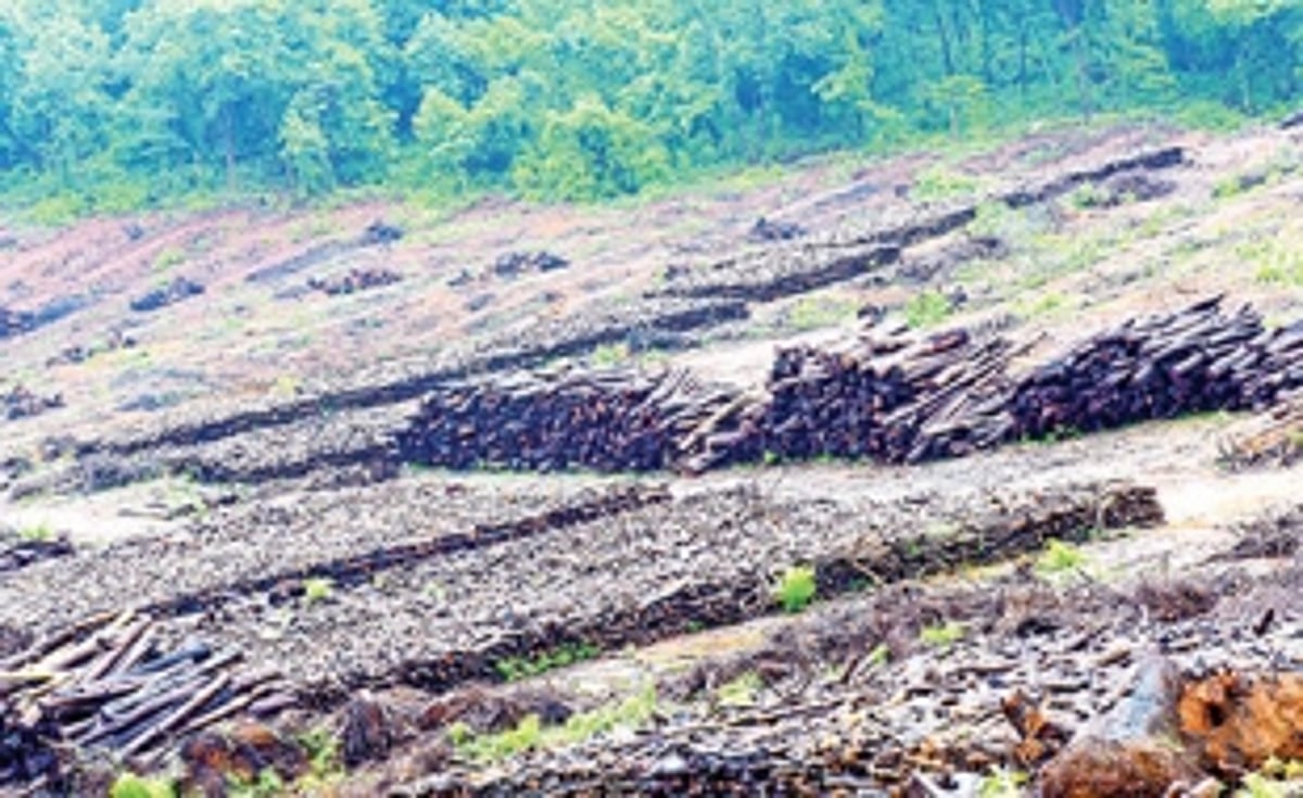 Goa’s lungs  under DESTRUCTION