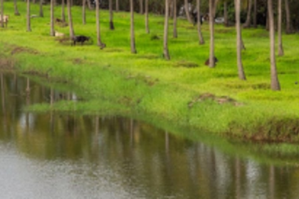 Goa’s maritime cluster gets 14,380 sqmts of land in Verna Industrial Estate