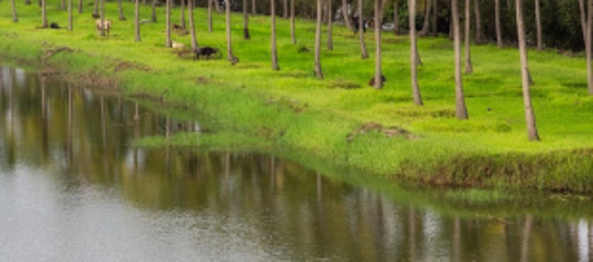 Goa’s maritime cluster gets 14,380 sqmts of land in Verna Industrial Estate