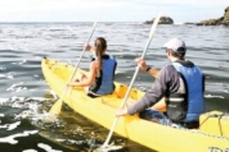 Goa’s outbound tourism shows green shoots this season