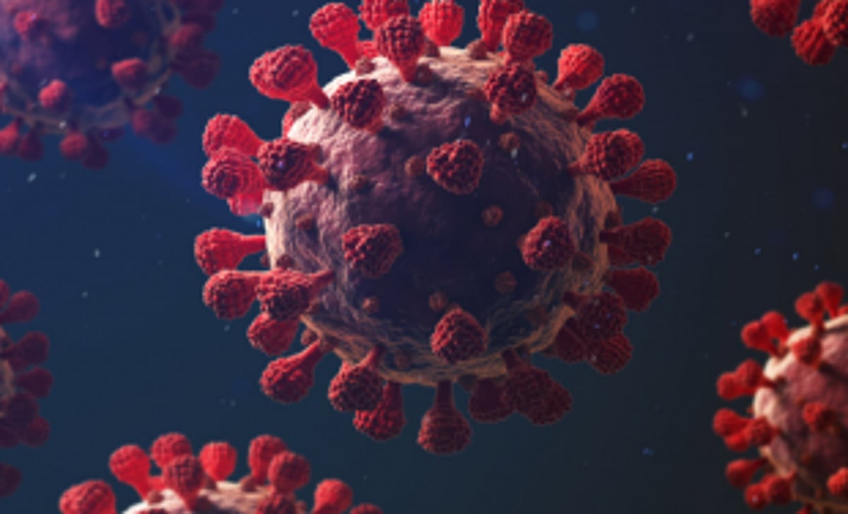 Goa’s positivity rate highest in country