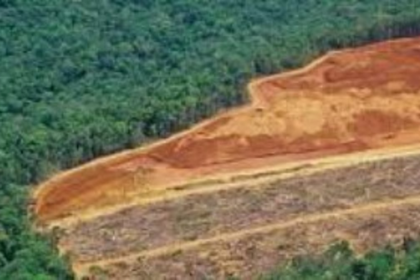 Goa’s questionable land use strategies