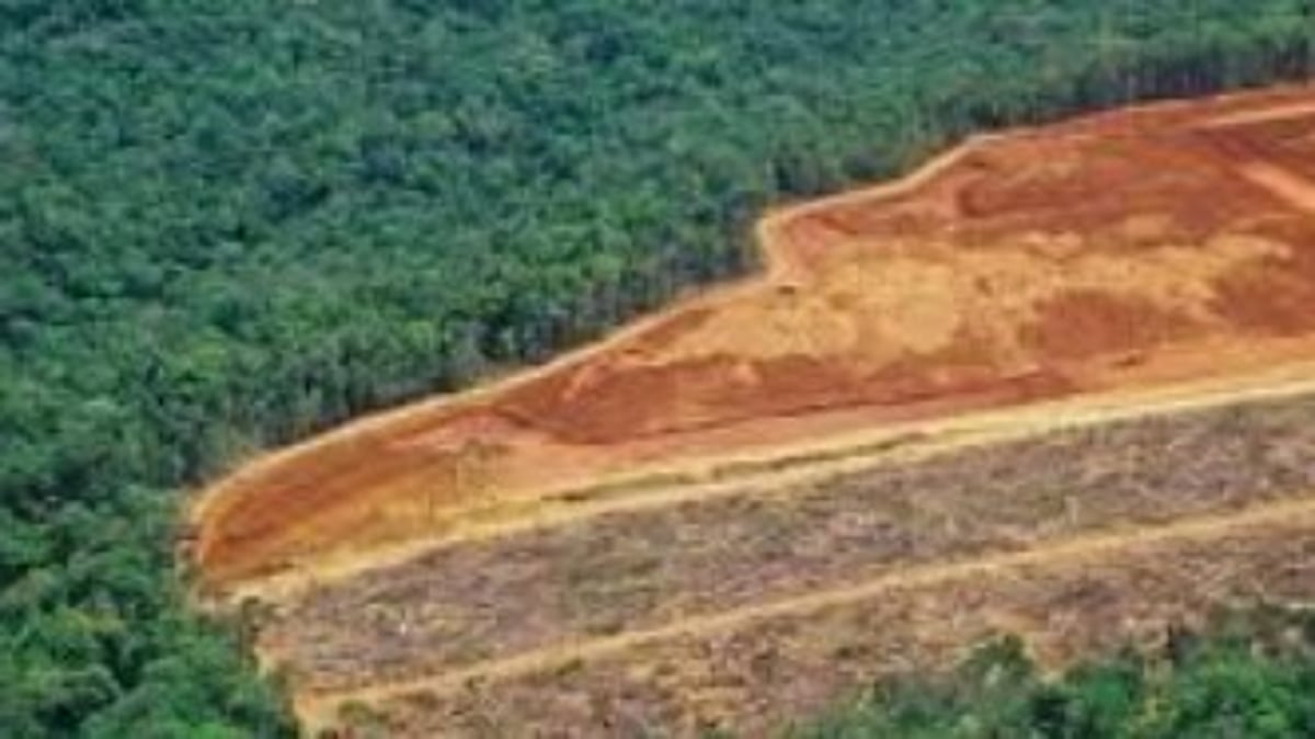 Goa’s questionable land use strategies