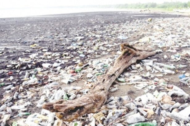 Goa’s rivers and major beaches polluted with high level of faecal coliform