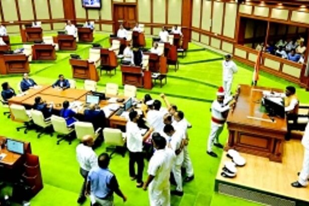 Goa’s rivers sold to Centre, alleges Opposition as House erupts over nationalisation issue