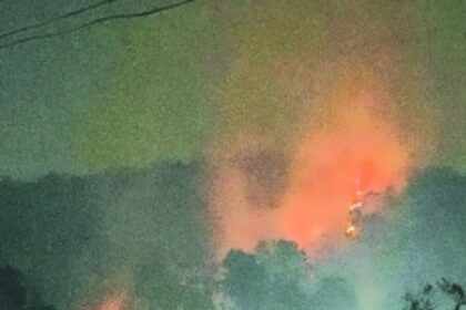 Goa's scrub forests turn into a tinderbox as weary rangers and fire personnel struggle to control unprecedented wildfires