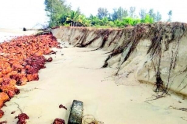 Goa’s shoreline of decay, from coast to coast