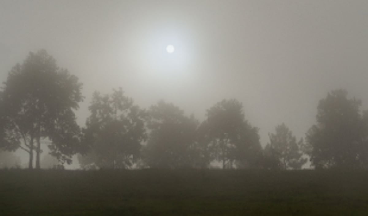 Goa’s temperature could rise by 2°C  by 2030s, says report