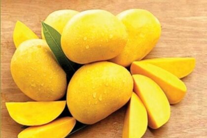 God save the ‘King’ of fruits: Mango yield drops by half in Goa