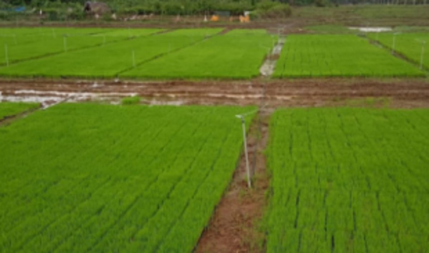 Goencho Ekvott backs Areal farmers’ cause 1 Goencho Ekvott backs Areal farmers’ cause