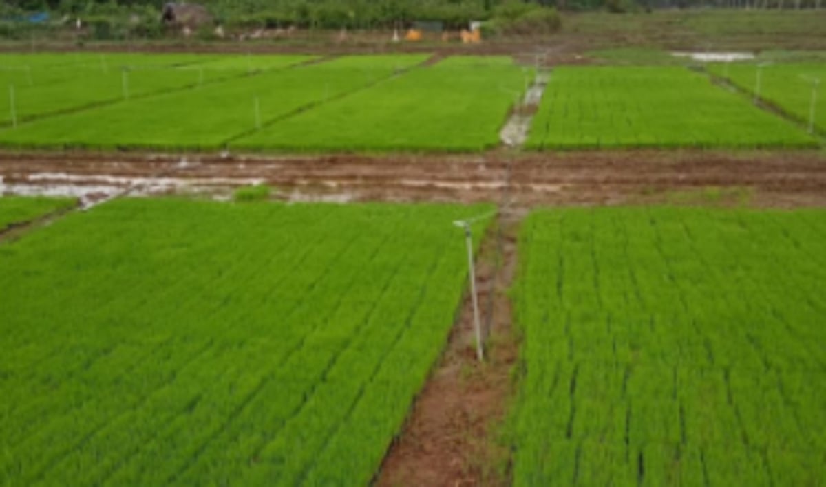 Goencho Ekvott backs  Areal farmers’ cause