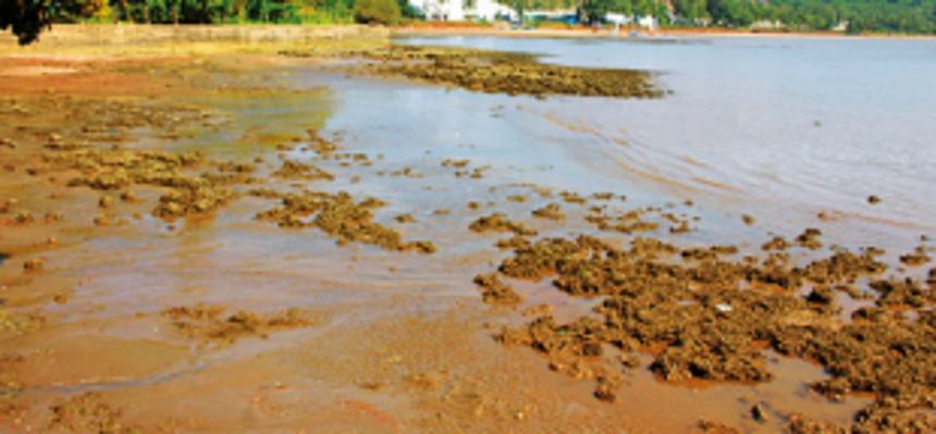 Goenkar Against Marina to hold public meeting