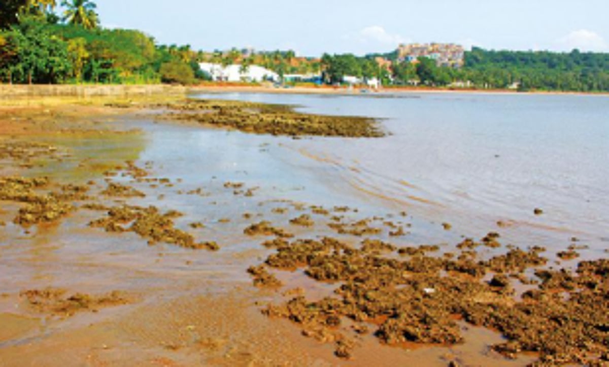 Goenkars vow not to allow marina project at Nauxim, warn govt not to test their patience