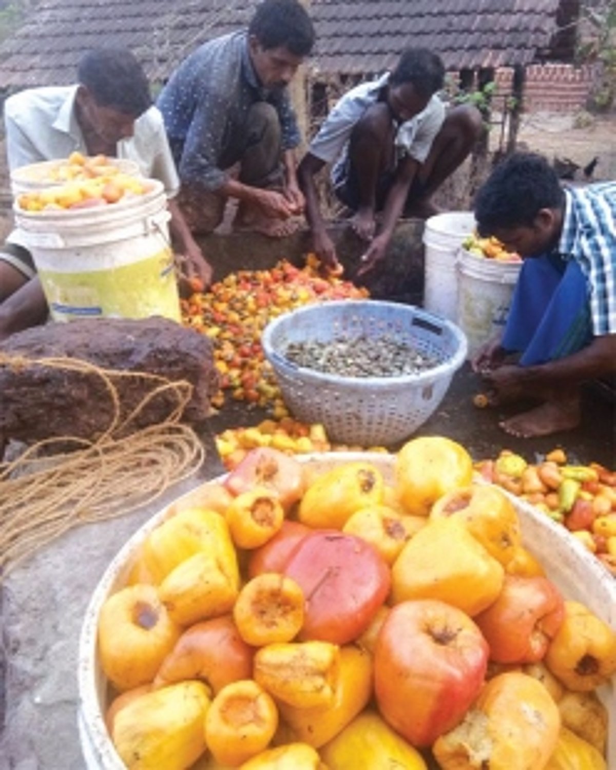 Goenkars who preserve heritage in a bottle