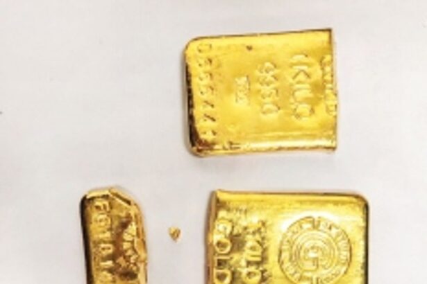 Gold worth Rs 95L  seized at Dabolim