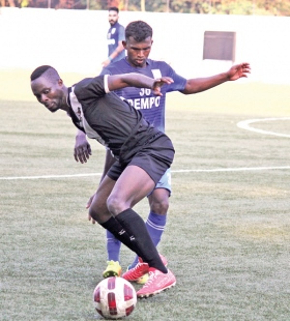 Golden Eagles soar high