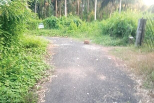 Gonsua Betalbatim road  turns from bad to worse