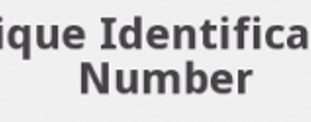 Government to assign  UIN to each property