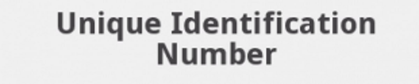 Government to assign  UIN to each property