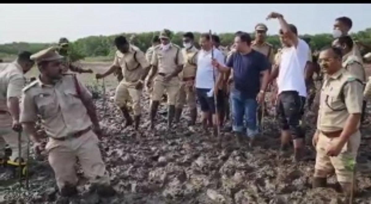 Government to plant 1,500 mangroves as part of the ‘Coastal Defense of Environment’