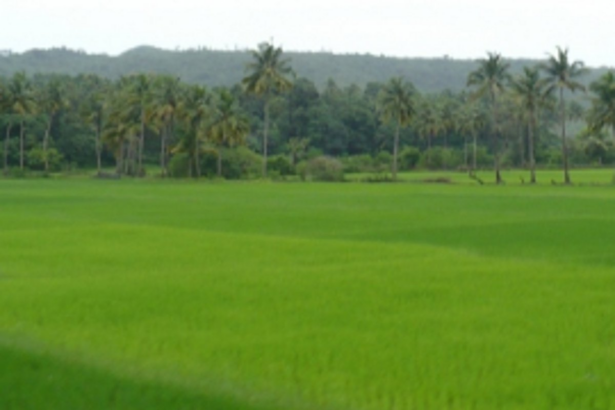 Government woos non-polluting firms willing to move out of China