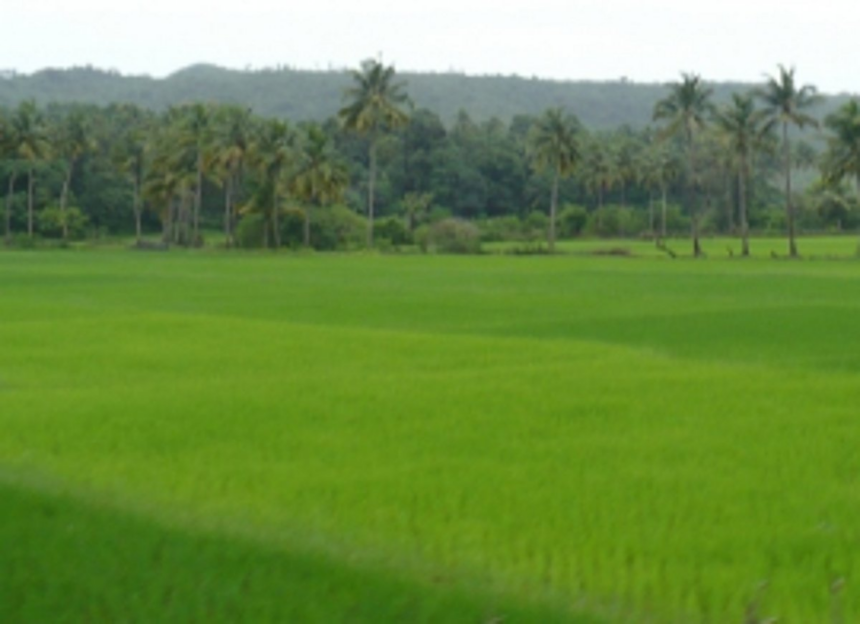 Government woos non-polluting firms willing to move out of China