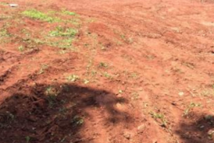 Govt: Land acquisition for connecting  road from NH to Mopa Airport underway