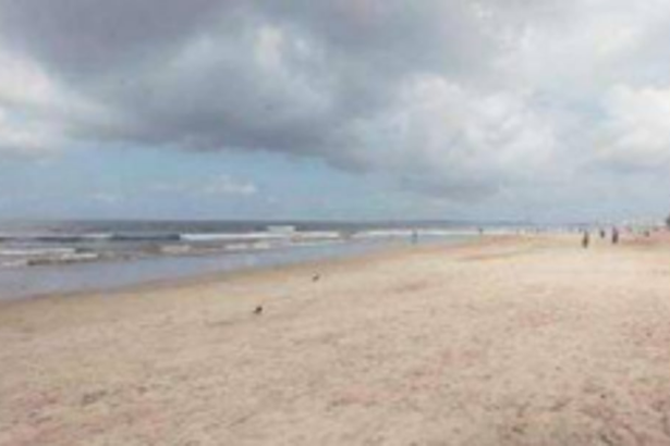 Govt appoints Kerala-based  agency to draft new CZMP plan