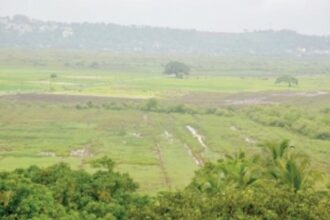 Govt converts 1.86 lakh sq mtrs  of green cover into settlement