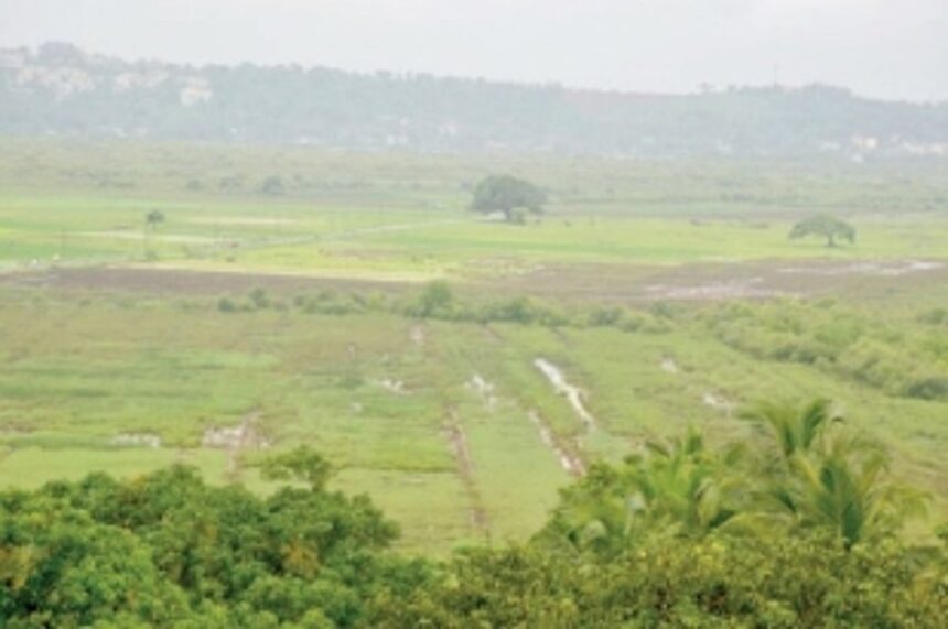 Govt converts 1.86 lakh sq mtrs of green cover into settlement 1 Govt converts 1.86 lakh sq mtrs of green cover into settlement