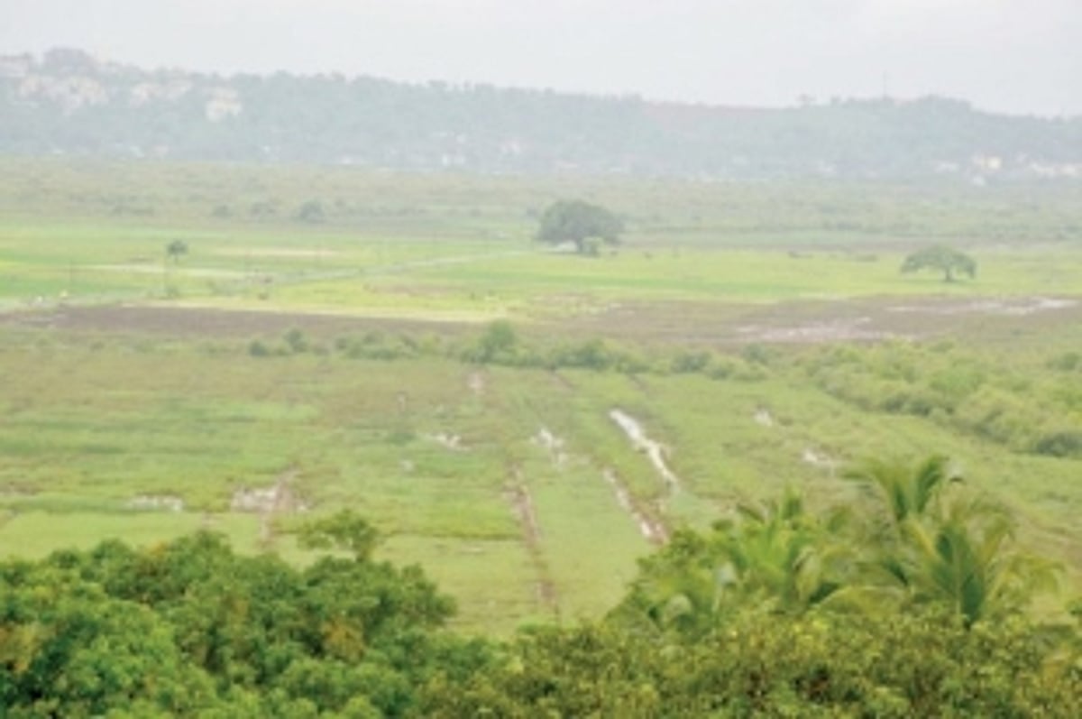 Govt converts 1.86 lakh sq mtrs  of green cover into settlement