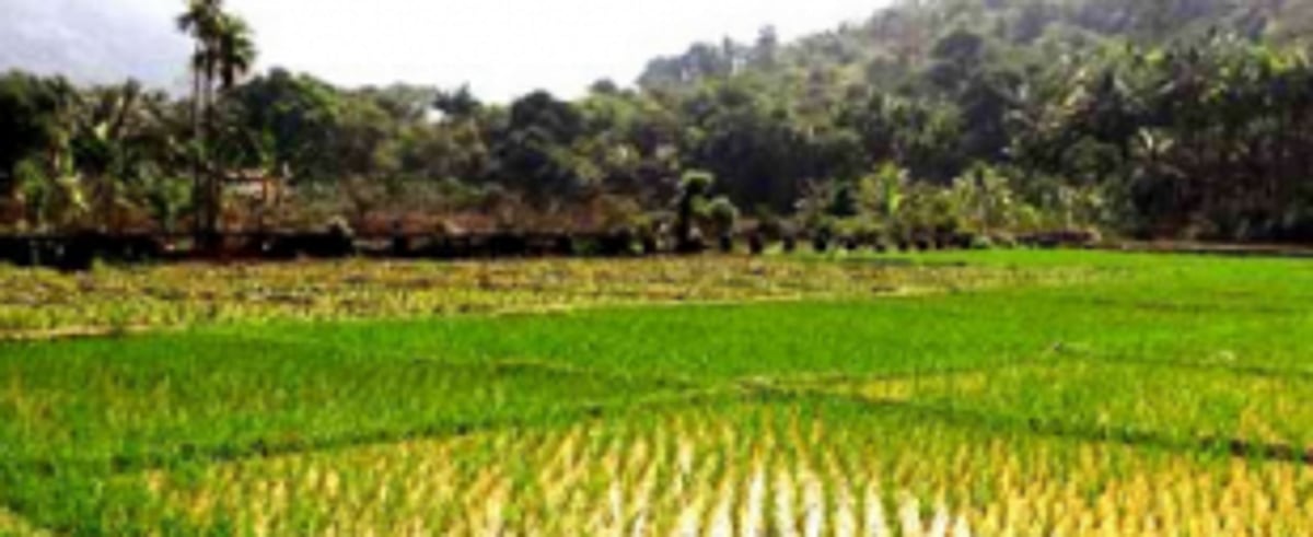 Govt directed to release mining  pits water to Pissurlem farmers